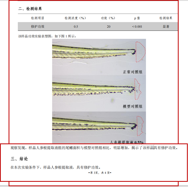 人参根提取物修护功效报告