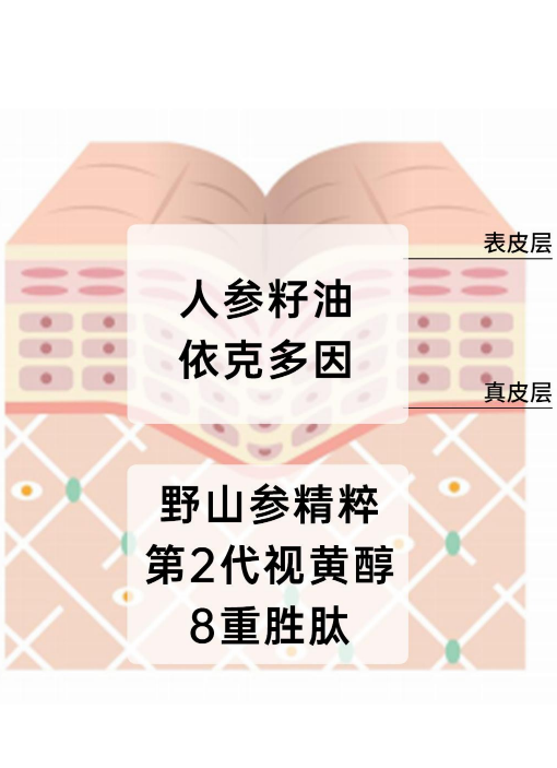 野山参分层紧致护理