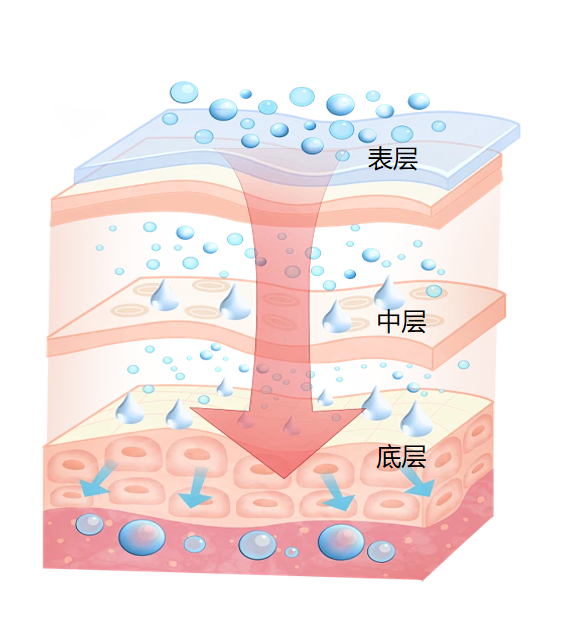 新鲜人参补锁修原理