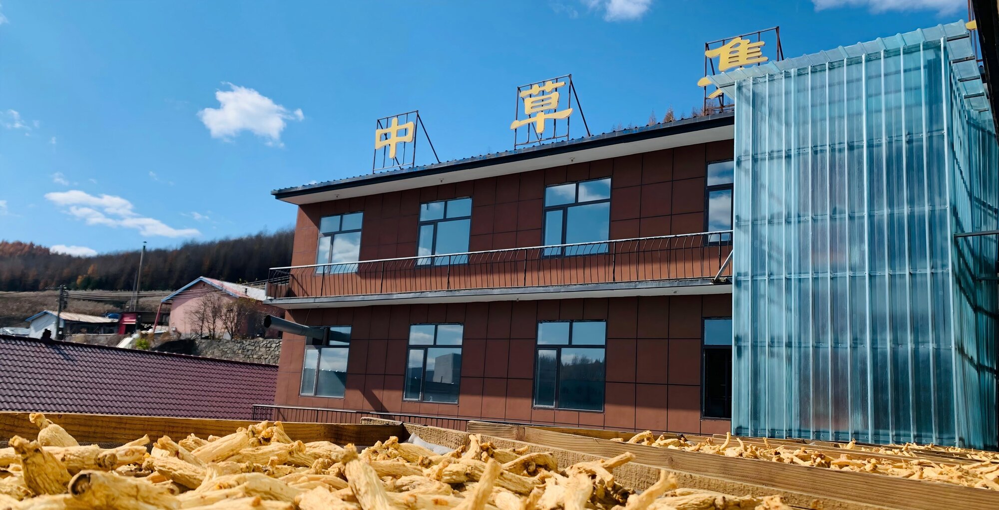 中草集参业有限公司 · 人参加工厂