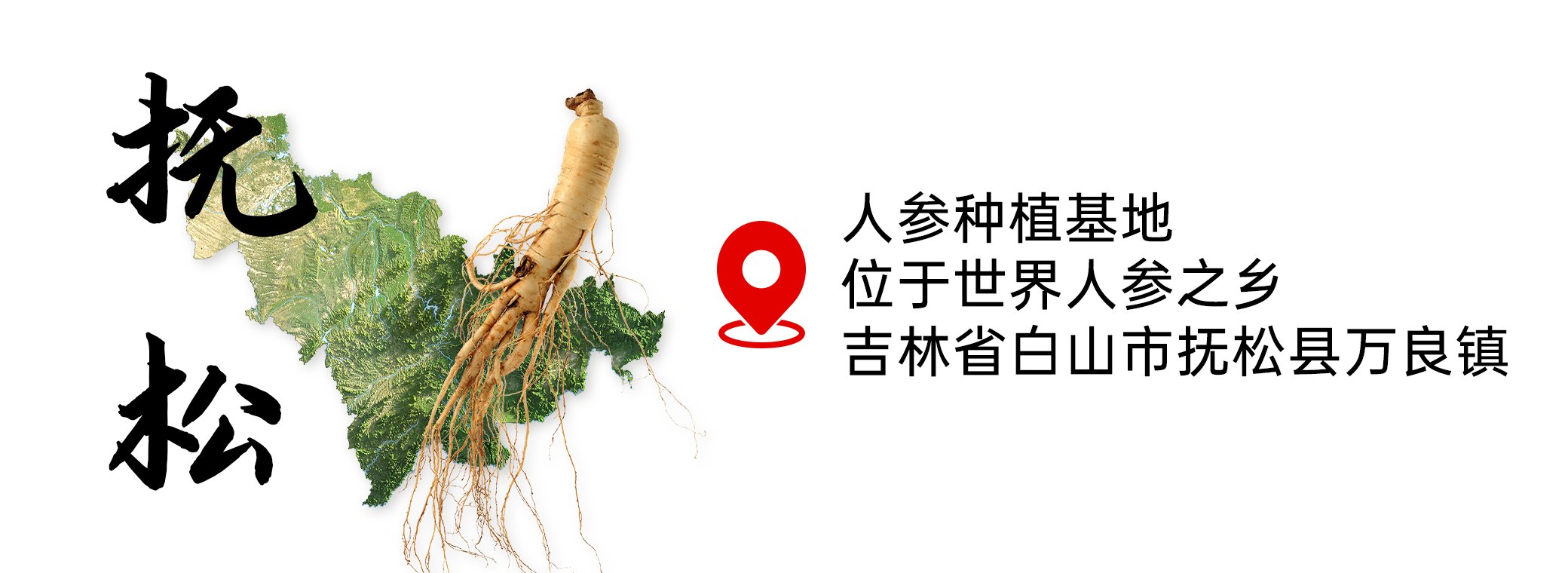 中草集人参种植基地地理位置